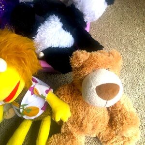 Beautiful  variety teddy